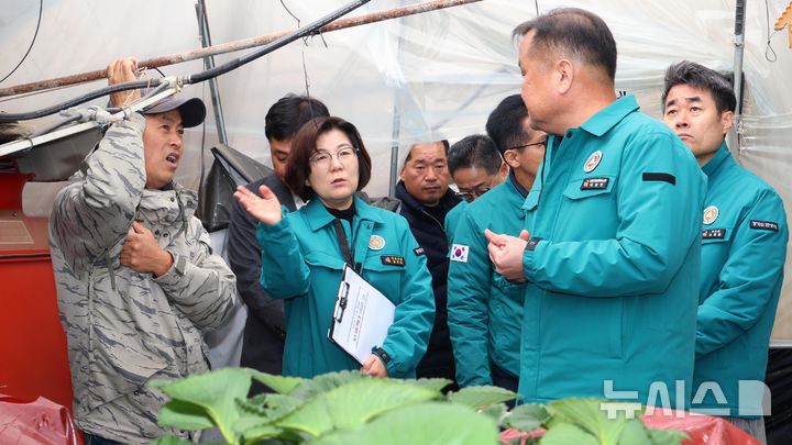 [안성=뉴시스] 김보라 안성시장이 딸기 재배 농장 피해상황을 점검하고 있다. (사진=안성시 제공)2024.11.30.photo@newsis.com 