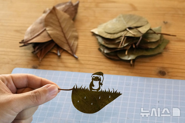 [도쿄=AP/뉴시스] 리프 아트(Leaf Art) 작가인 하시모토 겐지(활동명 리토)가 지난달 27일 일본 도쿄에서 AP통신과의 인터뷰 중 '연잎 우산을 든 개구리' 작품을 소개하고 있다. 2024.12.02.