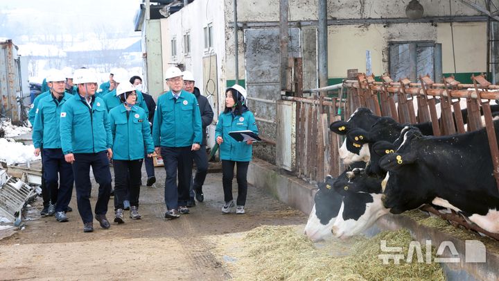 [안성=뉴시스] 김보라시장과 이한경 재난안전관리본부장이 폭설피해 현자을 둘러보고 있다. (사진 =안성시 제공)2024.12.01.photo@newsis.com 