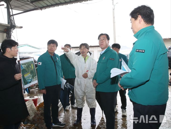 [화성=뉴시스] 우정읍 이화리 축사 붕괴현장. 축사 관계자가 현장을 방문한 정명근 화성시장(사진 오른쪽 두번째)에게 피해 상황을 설명하고 있다.(사진=화성시 제공)2024.12.01.photo@newsis.com