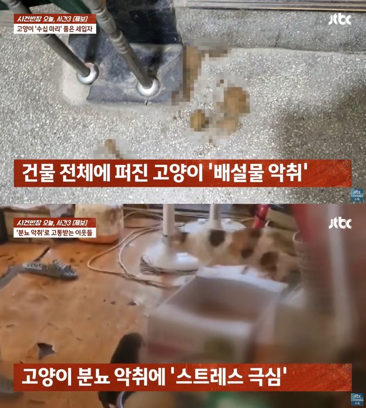 [서울=뉴시스] 30마리가 넘는 고양이를 키우는 세입자로 인해 악취와 소음에 시달리고 있다는 충격적인 사연이 전해졌다. (사진=JTBC '사건반장') *재판매 및 DB 금지