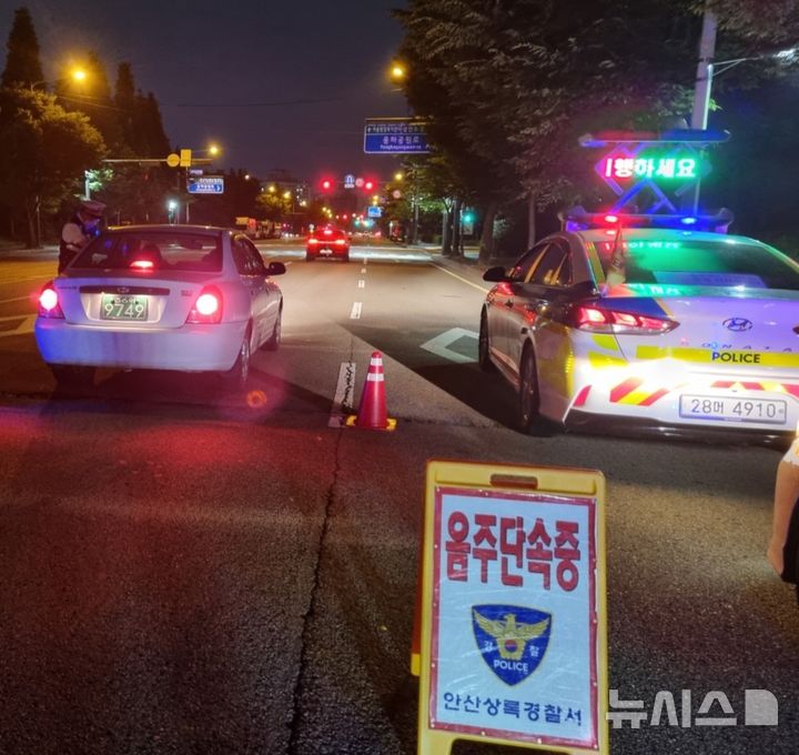 [안산=뉴시스] 안산상록경찰서가 음주운전을 단속하고 있다.(사진=안산상록경찰서 제공)2024.12.02.photo@newsis.com