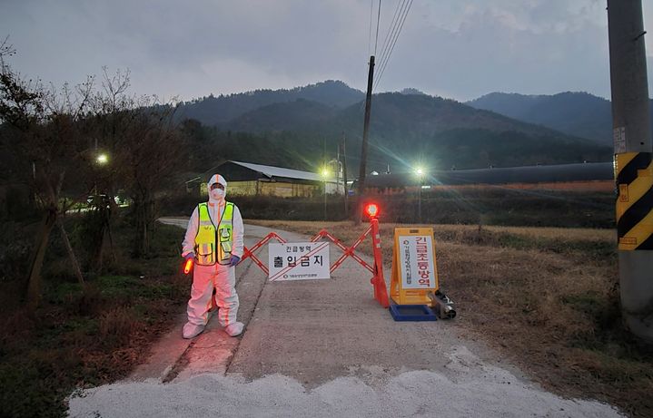 [강진=뉴시스] 송창헌 기자 = 3일 전남 강진군 한 육용오리 농장 입구에서 방역 관계자가 차량출입 등을 통제하고 있다. (사진=전남도 제공) 2024.12.03 photo@newsis.com *재판매 및 DB 금지