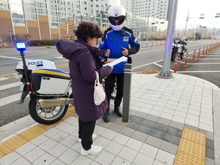 [대전=뉴시스]대전경찰청과 대전자치경찰위원회가 무단횡단이 잦아 사고 위험이 높은 지역에서 대대적인 계도 및 단속 활동을 실시했다.(사진=대전경찰청 제공) 2024.12.03. photo@newsis.com *재판매 및 DB 금지