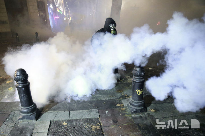 동유럽 조지아 시위대 16명 "신나치 범죄조직" 혐의로 체포돼