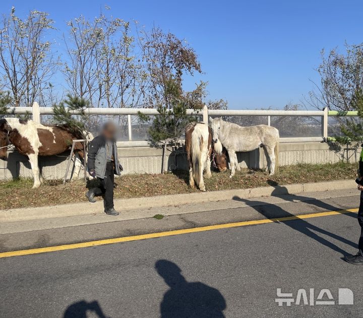 [고양=뉴시스] 4일 오후 1시 33분께 고양시 덕양구 제2자유로에서 말 3마리가 인근 농장에서 탈출해 포획됐다. (사진=고양소방서 제공) 2024.12.04 photo@newsis.com