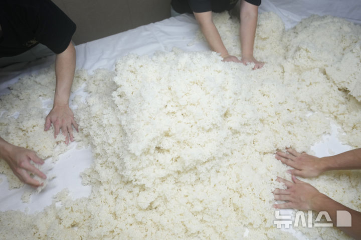 [나가노=AP/뉴시스] 쌀값 폭등으로 일본 정부가 3차 비축미 방출을 단행했으나, 소비자 손에는 이 가운데 약 7%만이 떨어진 것으로 조사됐다. 쌀값은 최고치를 찍었다. 사진은 사진은 지난해 11월 30일 일본 나가노현 오카야의 한 사케 양조장에서 '코지' 효소가 함유된 찐 쌀로 사케 만들 준비를 하는 모습. 2025.05.20.