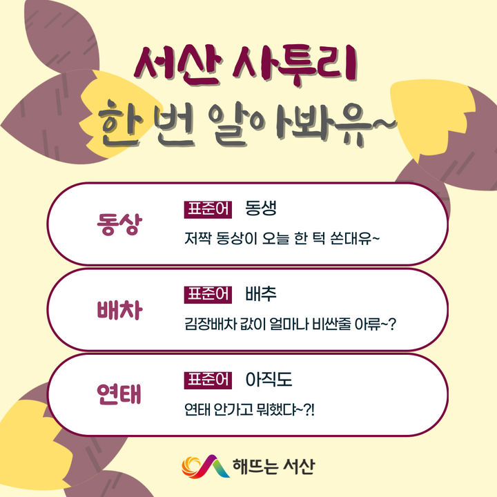 [서산=뉴시스] 지난 4일 서산시가 시 사회관계망 서비스에 올린 사투리 카드뉴스 모습. (사진=서산시 제공) 2024.12.05. photo@newsis.com *재판매 및 DB 금지