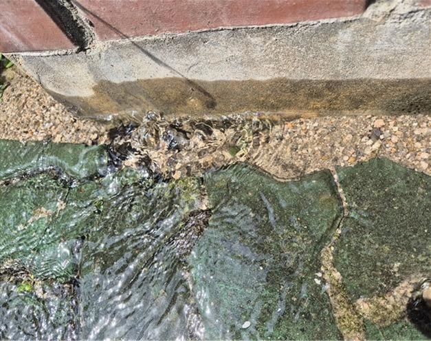 [서울=뉴시스] (하반기 최우수 신고) 수도관 파열 의심. 2024.12.06. (사진=서울시 제공) *재판매 및 DB 금지