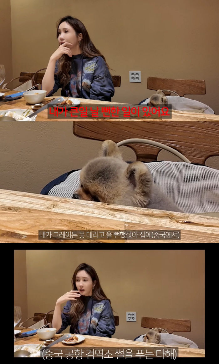 [서울=뉴시스] 4일 이다해의 개인 유튜브 채널 '1+1=이다해'에는 '초보 유튜버 다해의 하루(feat.그레이튼)'라는 제목의 영상이 올라왔다. (사진=유튜브 갈무리) *재판매 및 DB 금지