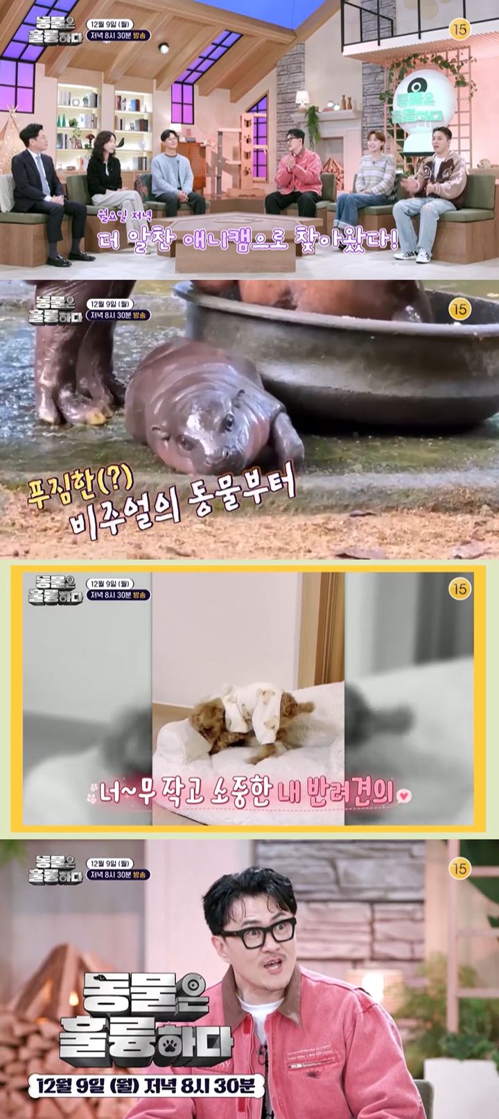 [서울=뉴시스] KBS2 TV '동물은 훌륭하다'는 9일 오후 8시 30분 방송된다. (사진=&nbsp; KBS 2TV '동물은 훌륭하다' 제공) 2024.12.09. photo@newsis.com *재판매 및 DB 금지