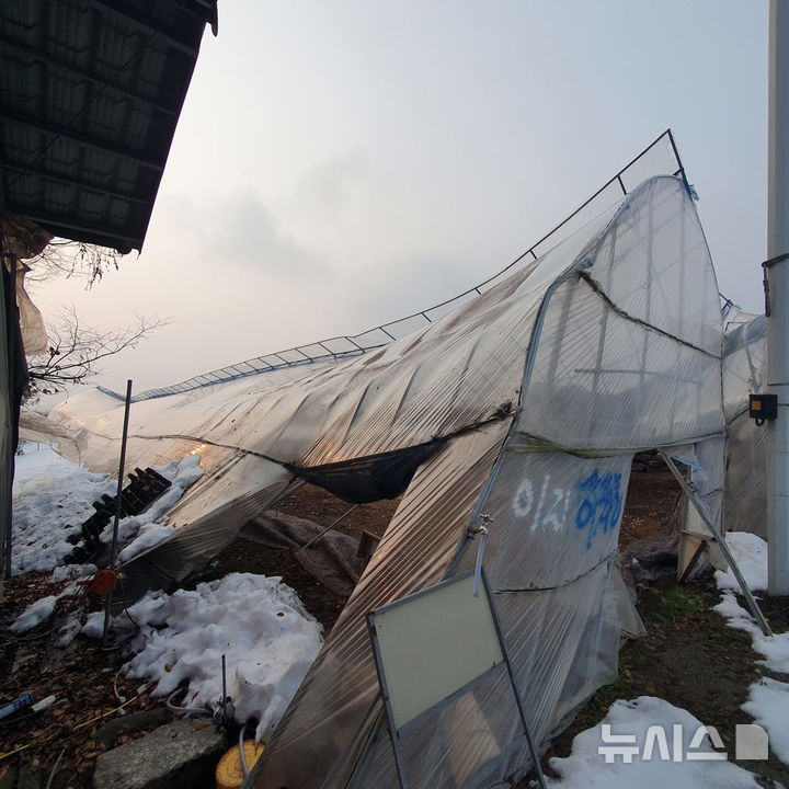 [안성=뉴시스] 폭설로 무너져 내린 비닐하우스 모습 (사진=안성시 제공) 2024.12.09.photo@newsis.com