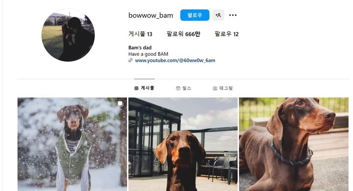 [서울=뉴시스] 정국은 지난 8일 자신이 개설한 반려견 인스타그램 계정 'Bowwow_bam' 프로필을 통해 유튜브 채널 개설을 알렸다. (사진= 인스타그램 '밤이 아빠' 캡처 ) 2024.12.10. photo@newsis.com *재판매 및 DB 금지