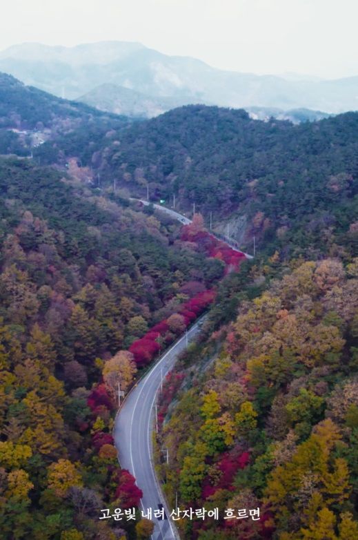 [순창=뉴시스] 순창군의 '2024년 관광 영상·사진 공모전' 영상 부문 대상작 '자전거로 떠나는 순창여행' 캡처사진. *재판매 및 DB 금지