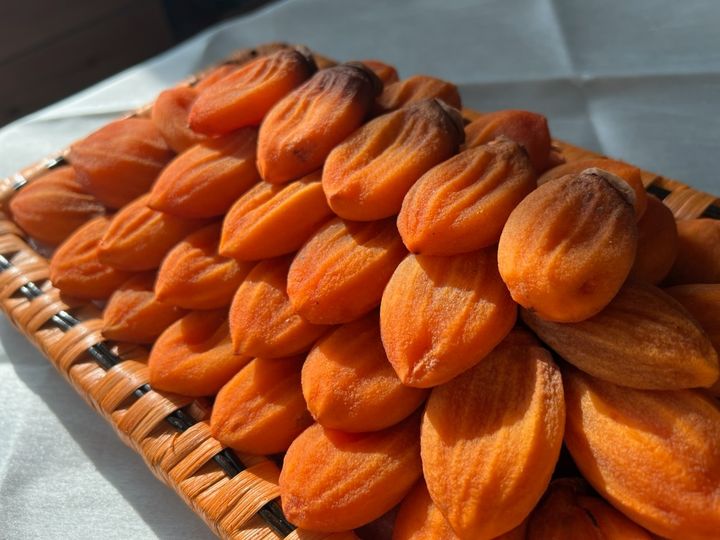 '맛의 방주'에 등재된 장성 재래감 고종시. (사진=장성군 제공) photo@newsis.com *재판매 및 DB 금지