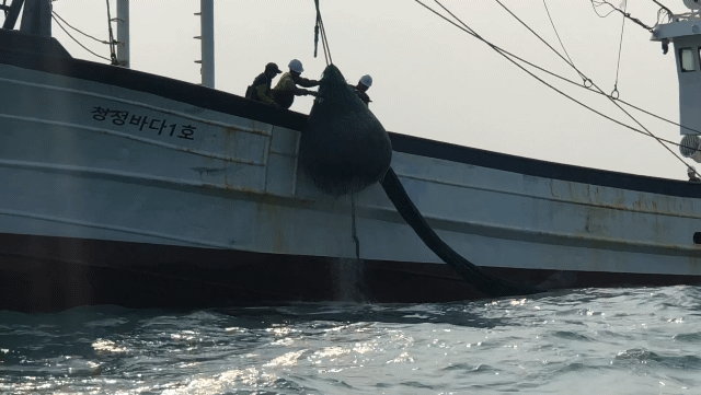 [제주=뉴시스] 6일 오후 제주 차귀도 해상에서 불법 어구 수거 전용선 '청정바다 1호'가 불법 중국어선들이 설치한 범장망을 수거해 어획물을 방류하고 있다. (사진=남해어업관리단 제공) 2024.12.11. photo@newsis.com *재판매 및 DB 금지 *재판매 및 DB 금지