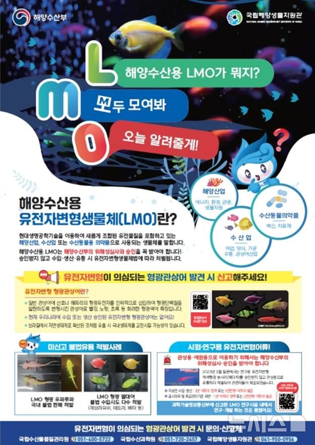 [서울=뉴시스] 유전자변형 형광관상어 불법 유통 예방 홍보 포스터 발간.