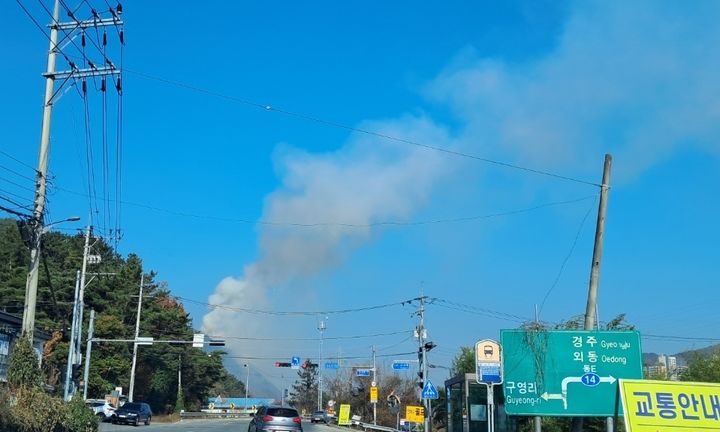 [울산=뉴시스] 박수지 기자 = 12일 오후 울산시 울주군 범서읍 척과리 한 야산에서 불이나 연기가 올라오고 있다. (사진=울산소방본부 제공)2024.12.12. photo@newsis.com *재판매 및 DB 금지