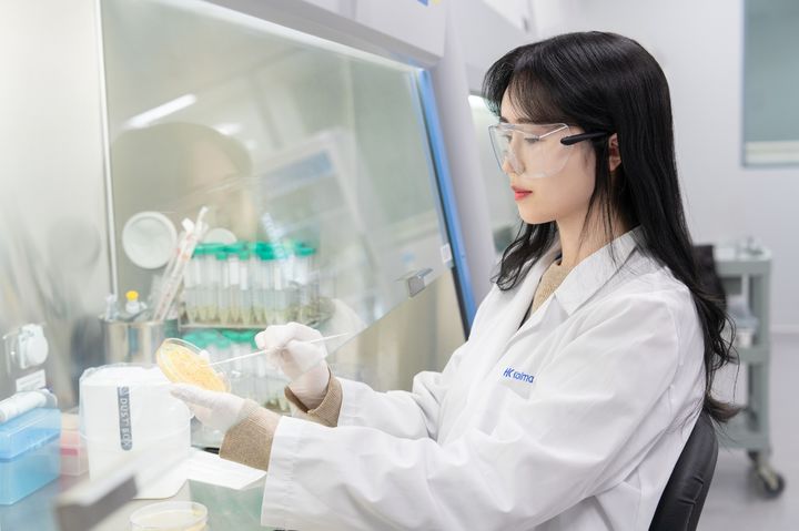 한국콜마 연구원이 미생물 균주를 배양하고 관찰하고 있다. (사진=한국콜마 제공) *재판매 및 DB 금지