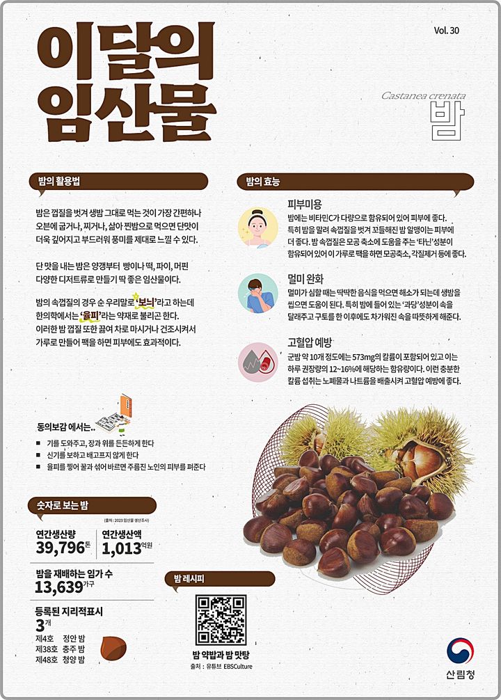 [대전=뉴시스] 산림청이 12월 이달의 임산물로 선정한 '밤'.(사진=산림청 제공) *재판매 및 DB 금지