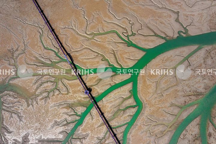 [서울=뉴시스] 제12회 아름다운 우리 국토 사진공모전 최우수상 수상작인 '퍼플교와 갯벌' (사진=국토연구원 홈페이지) 2024.12.13. photo@newsis.com *재판매 및 DB 금지