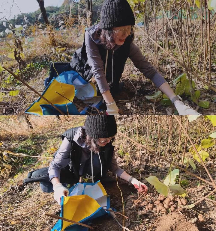 [서울=뉴시스] 배우 오연수가 당뇨 전 단계인 남편 손지창을 위해 밭에서 직접 돼지감자를 캐고 요리하며 남편에 대한 애정을 드러냈다. (사진=유튜브 채널 '오연수 Yun Soo Oh') *재판매 및 DB 금지