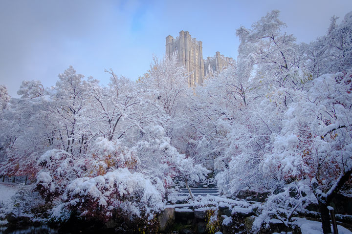 경희대학교 전경 (사진=경희대 제공) *재판매 및 DB 금지