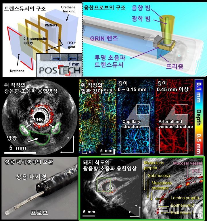 포스텍 연구팀, '투명 초음파 광음향 내시경' 세계 첫개발