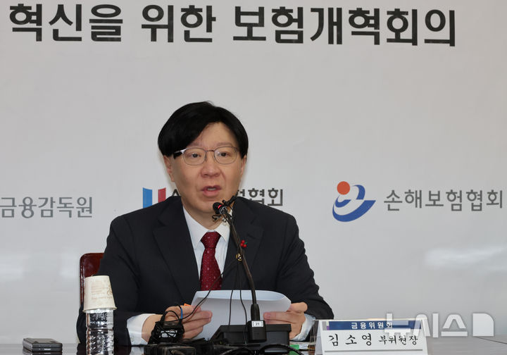 [서울=뉴시스] 김명원 기자 = 김소영 금융위원회 부위원장이 16일 서울 종로구 정부서울청사에서 열린 제5차 보험개혁회의에 참석해 발언하고 있다. 2024.12.16. kmx1105@newsis.com