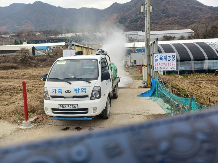 [보령=뉴시스] 보령지역 방역 모습. (사진=보령시청 제공) 2024.12.17. photo.newsis.com *재판매 및 DB 금지