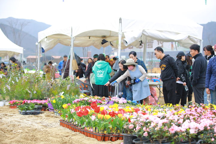 22회 옥천묘목축제 모습(사진=옥천군 제공) *재판매 및 DB 금지