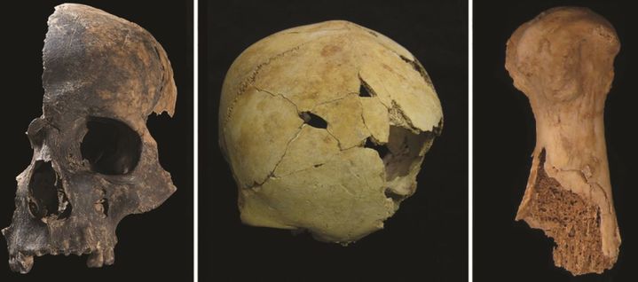 [서울=뉴시스] 17일 영국 옥스퍼드대에 따르면 지난 16일 고고학 학술지 앤티쿼티(Antiquity)에는 옥스퍼드대 릭 슐팅 교수팀이 영국 남서부 초기 청동기 유적에서 발견된 뼛조각들을 분석한 결과가 게재됐다. (사진= Schulting et al. Antiquity 웹페이지) *재판매 및 DB 금지