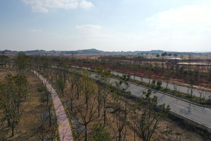 [해남=뉴시스]해남 솔라시도 '기후대응 도시숲'. (사진=해남군 제공) 2024.12.17. photo@newsis.com *재판매 및 DB 금지