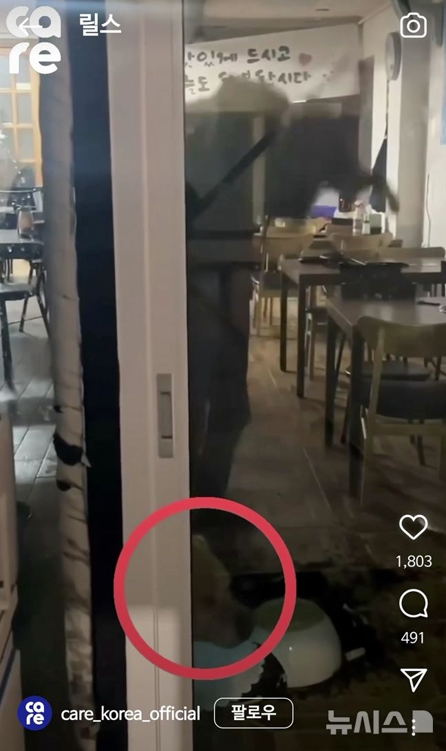 [제주=뉴시스] 지난해 4월19일 오후 제주 한 식당에서 키우던 개를 학대한 영상이 SNS에 게시됐다. (사진=동물보호단체 케어(CARE) SNS 갈무리) 2024.12.18. photo@newsis.com