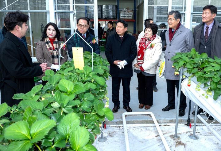 제천에 1만8천평 스마트팜 준공…청년농 8개팀 안착