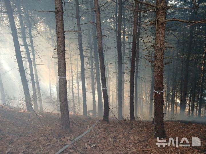 [파주=뉴시스] 파주 야산 화재. (사진=산림청 제공) 2024.12.19 photo@newsis.com