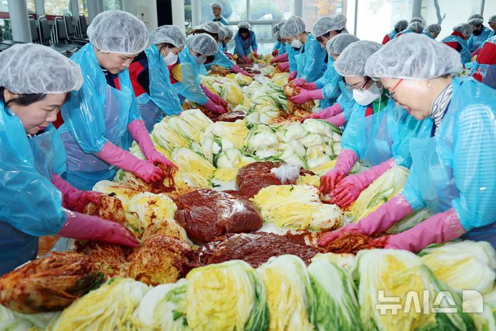 [부산=뉴시스] 하경민 기자 = 부산 사상구 경남정보대학교 교직원과 학생, 자원봉사원 등 100여 명이 대학 내 학생식당에서 김장을 하고 있다. 2024.12.20. yulnetphoto@newsis.com