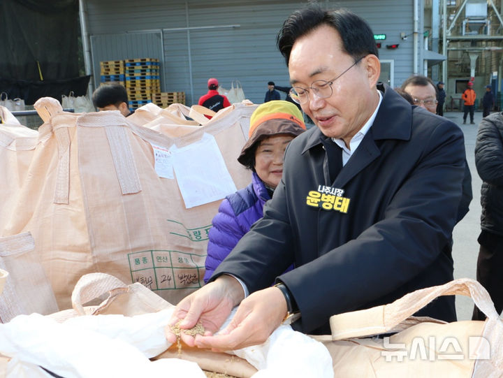 [나주=뉴시스] 윤병태 나주시장이 2024년산 공공 비축미 수매 현장을 찾아 품질을 살펴보고 있다. (사진=나주시 제공) photo@newsis.com *재판매 및 DB 금지