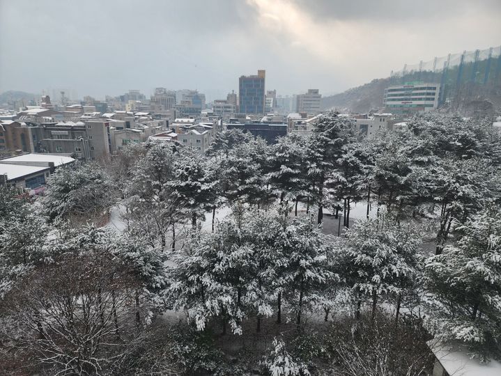 [원주=뉴시스] 이덕화 기자 = 21일 눈쌓인 원주시내 모습. photo@newsis.com *재판매 및 DB 금지