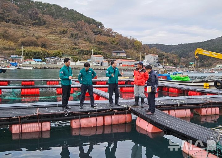 [창원=뉴시스]경남도 조현준(가운데) 해양수산국장 등이 지난 20일 통영 가두리양식장을 방문해 돔류, 쥐치류의 저수온 대응 상황을 점검하고 있다.(사진=경남도 제공) 2024.12.22. photo@newsis.com