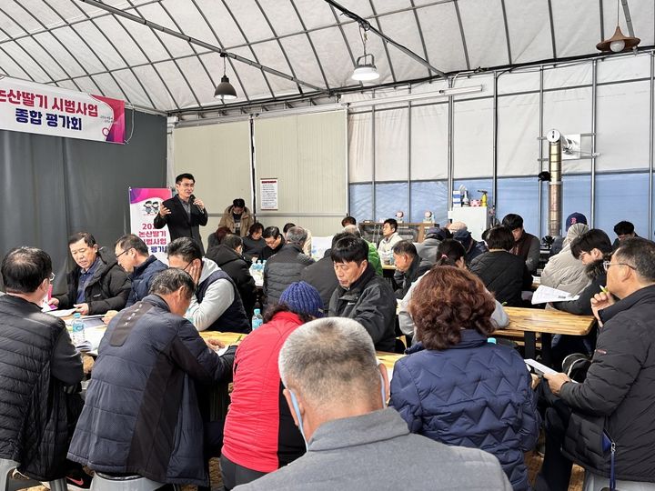 [논산=뉴시스]논산시 딸기 품평회. (사진=논산시 제공). 2024. 12. 23 photo@newsis.com *재판매 및 DB 금지