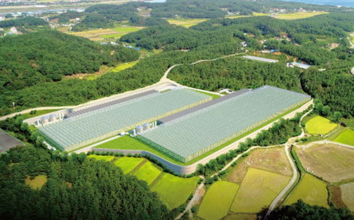 [춘천=뉴시스] 24일 강원특별자치도(도지사 김진태)는 이날 농림축산식품부가 주관한 ‘2025년 지역특화 임대형 스마트팜 공모사업’에서 양양군이 최종 선정됐다고 밝혔다. 강원특별자치도 제공. *재판매 및 DB 금지