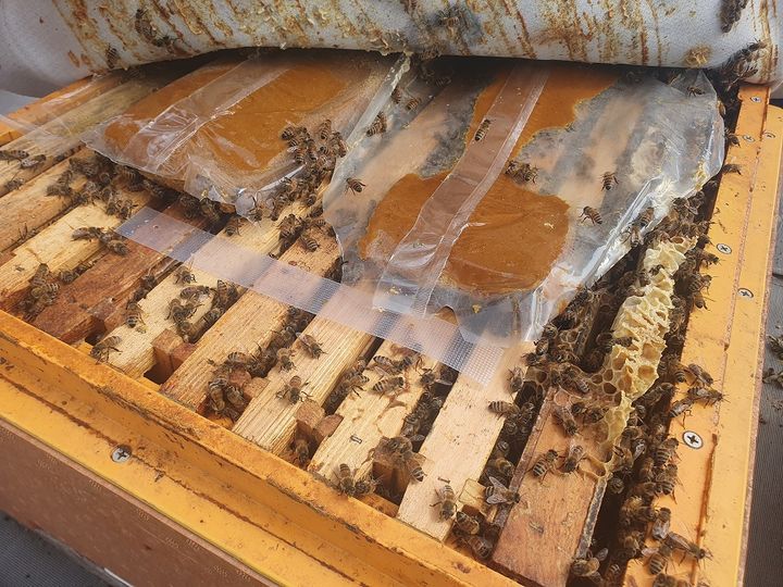 [창원=뉴시스] 강경국 기자 = 양봉농가 화분 급이 모습. (사진=창원시청 제공). 2024.12.25. photo@newsis.com *재판매 및 DB 금지