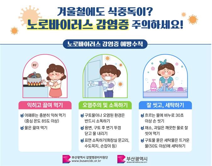 [부산=뉴시스]부산시가 발표한 노로바이러스감염증 예방수칙(사진=부산시 제공) 2024.12.26. photo@newsis.com *재판매 및 DB 금지