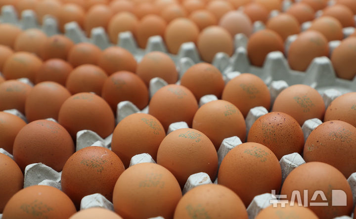 [제주=뉴시스] 우장호 기자 = 지난해 12월26일 오전 제주시 애월읍 소재 제주웰빙영농조합법인에서 100% 재생에너지로만 생산된 'RE100' 인증 계란인 '지구란'이 세척·살균 공정을 위해 투입되고 있다.  RE100은 'Renewable Energy 100%'의 약자로 재생 가능한 에너지를 100% 사용하는 것을 목표로 하는 글로벌 캠페인이다. 2024.12.26. woo1223@newsis.com