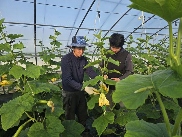 [의령=뉴시스]왼쪽부터 청년 귀농인 김경태,이상현 씨.(사진=의령군 제공) 2024.12.29.photo@newsis.com *재판매 및 DB 금지