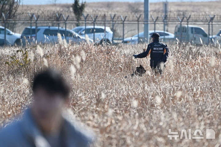 [무안=뉴시스] 이영주 기자 = 29일 오전 전남 무안공항에서 소방 당국이 여객기 착륙 도중 충돌로 추정되는 사고가 난 현장 주변 탑승객 수색 활동을 벌이고 있다 2024.12.29. leeyj2578@newsis.com