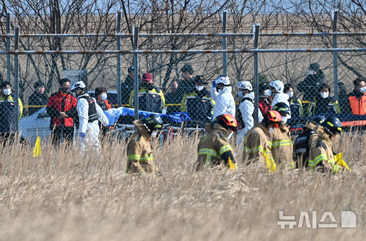 [무안=뉴시스] 이영주 기자 = 전남 무안공항에서 여객기 착륙 도중 충돌 사고가 난 29일 오후 소방 당국이 사고 현장 주변 억새밭에서 시신을 수습·수색하고 있다. 2024.12.29. leeyj2578@newsis.com