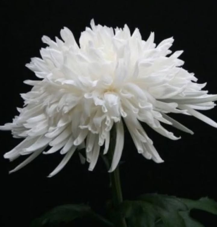  *재판매 및 DB 금지