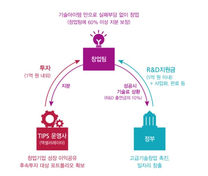 [서울=뉴시스] 팁스(TIPS)프로그램 설명 (사진=팁스 홈페이지 캡쳐) 2024.12.31. photo@newsis.com *재판매 및 DB 금지